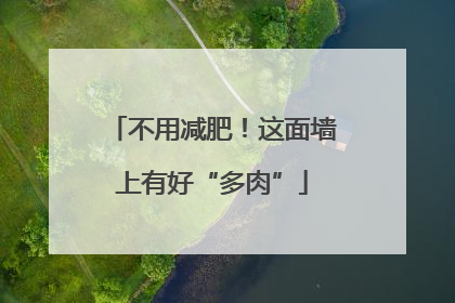 不用减肥！这面墙上有好“多肉”