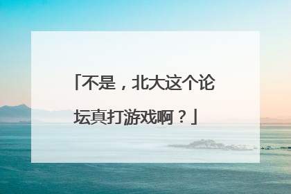 不是，北大这个论坛真打游戏啊？