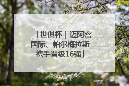 世俱杯｜迈阿密国际、帕尔梅拉斯携手晋级16强