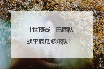 世预赛｜巴西队战平厄瓜多尔队