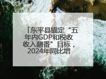 东平县锚定“五年内GDP和税收收入翻番”目标，2024年同比增长5.8%
