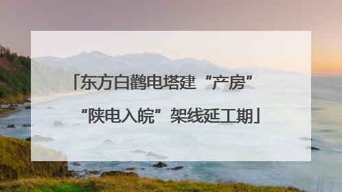 东方白鹳电塔建“产房” “陕电入皖”架线延工期