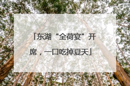 东湖“全荷宴”开席，一口吃掉夏天