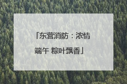 东营消防：浓情端午 粽叶飘香