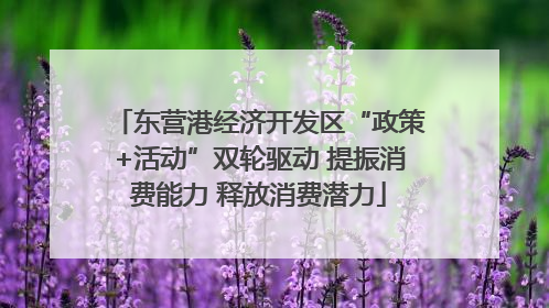 东营港经济开发区“政策+活动”双轮驱动 提振消费能力 释放消费潜力