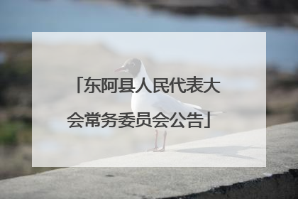 东阿县人民代表大会常务委员会公告