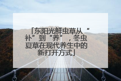 东阳光鲜虫草从“补”到“养”，冬虫夏草在现代养生中的新打开方式