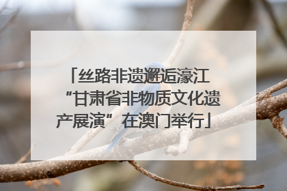 丝路非遗邂逅濠江 “甘肃省非物质文化遗产展演”在澳门举行