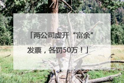 两公司虚开“富余”发票，各罚50万！