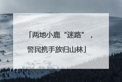 两地小鹿“迷路”，警民携手放归山林