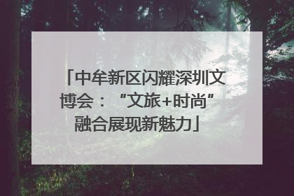 中牟新区闪耀深圳文博会：“文旅+时尚”融合展现新魅力