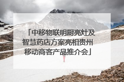 中移物联明厨亮灶及智慧药店方案亮相贵州移动商客产品推介会