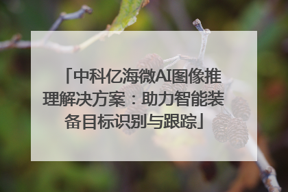中科亿海微AI图像推理解决方案：助力智能装备目标识别与跟踪