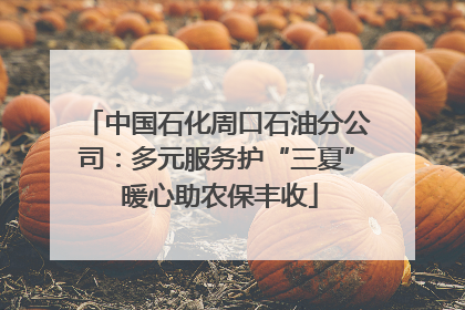 中国石化周口石油分公司：多元服务护“三夏” 暖心助农保丰收