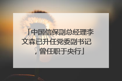 中国信保副总经理李文森已升任党委副书记，曾任职于央行