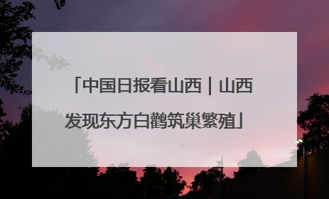 中国日报看山西｜山西发现东方白鹳筑巢繁殖