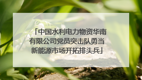中国水利电力物资华南有限公司党员突击队勇当新能源市场开拓排头兵