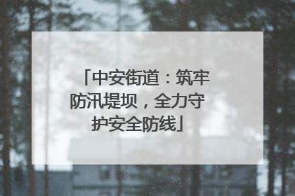 中安街道：筑牢防汛堤坝，全力守护安全防线