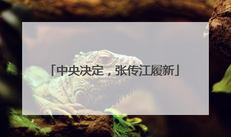 中央决定，张传江履新
