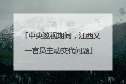 中央巡视期间，江西又一官员主动交代问题