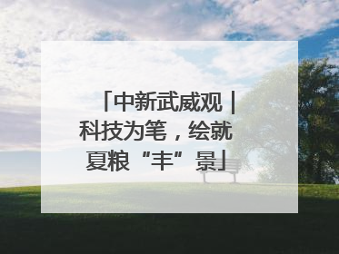 中新武威观｜科技为笔，绘就夏粮“丰”景