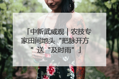 中新武威观｜农技专家田间地头“把脉开方”送“及时雨”