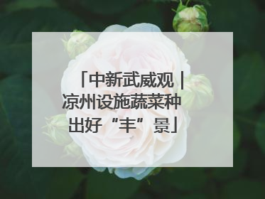 中新武威观｜凉州设施蔬菜种出好“丰”景