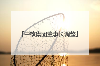 中核集团董事长调整
