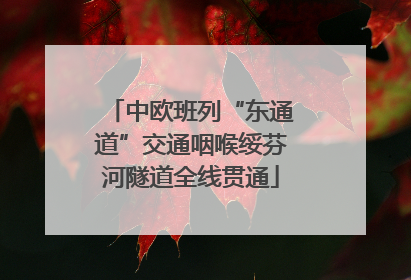 中欧班列“东通道”交通咽喉绥芬河隧道全线贯通