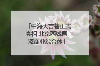 中海大吉巷正式亮相 北京西城再添商业综合体
