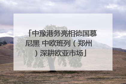 中豫港务亮相德国慕尼黑 中欧班列（郑州）深耕欧亚市场