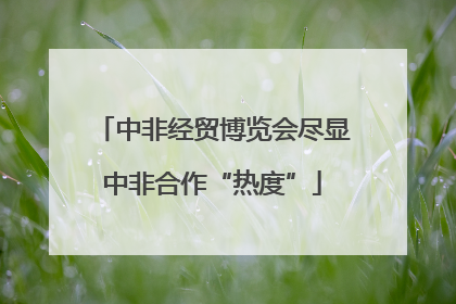 中非经贸博览会尽显中非合作“热度”