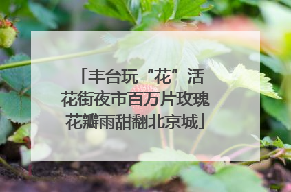 丰台玩“花”活 花街夜市百万片玫瑰花瓣雨甜翻北京城