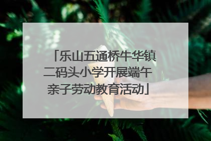 乐山五通桥牛华镇二码头小学开展端午亲子劳动教育活动