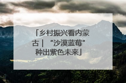 乡村振兴看内蒙古｜“沙漠蓝莓”种出紫色未来