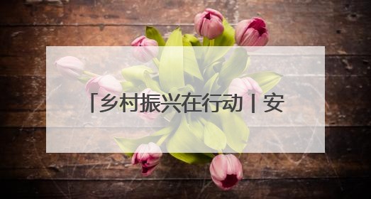 乡村振兴在行动丨安徽太和：西瓜产业铺就“甜蜜”致富路