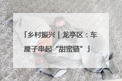 乡村振兴｜龙亭区：车厘子串起“甜蜜链”