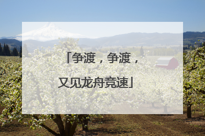 争渡，争渡，又见龙舟竞速