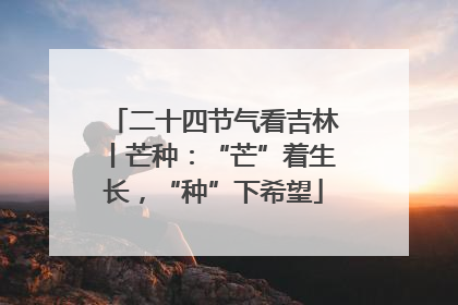 二十四节气看吉林丨芒种：“芒”着生长，“种”下希望