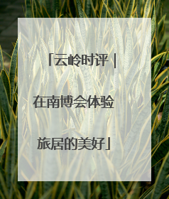 云岭时评｜在南博会体验旅居的美好