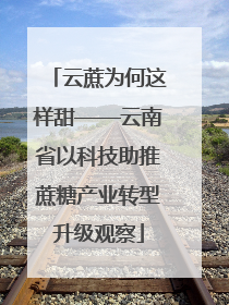 云蔗为何这样甜——云南省以科技助推蔗糖产业转型升级观察