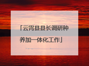 云霄县县长调研种养加一体化工作