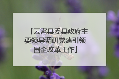 云霄县委县政府主要领导调研党建引领国企改革工作