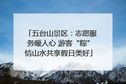 五台山景区：志愿服务暖人心 游客“粽”情山水共享假日美好