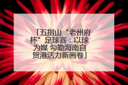 五指山“老州府杯”足球赛：以球为媒 勾勒海南自贸港活力新画卷