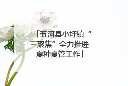 五河县小圩镇“三聚焦”全力推进夏种夏管工作