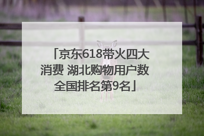 京东618带火四大消费 湖北购物用户数全国排名第9名