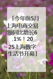 今年前5月上海电商交易额同比增长6.1%！2025上海数字生活节开幕