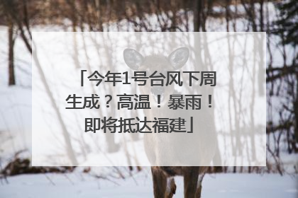 今年1号台风下周生成？高温！暴雨！即将抵达福建