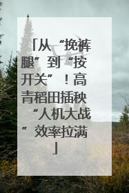 从“挽裤腿”到“按开关”！高青稻田插秧“人机大战”效率拉满